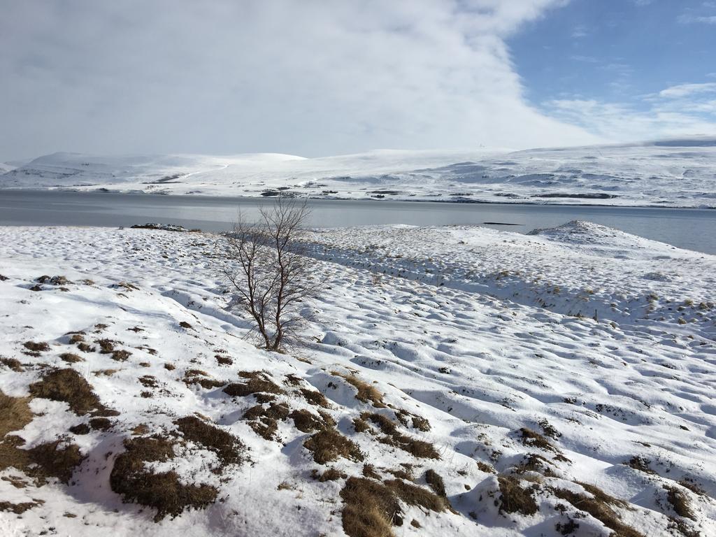 Aurora Vacation Homes Fagravik Akureyri Exteriör bild